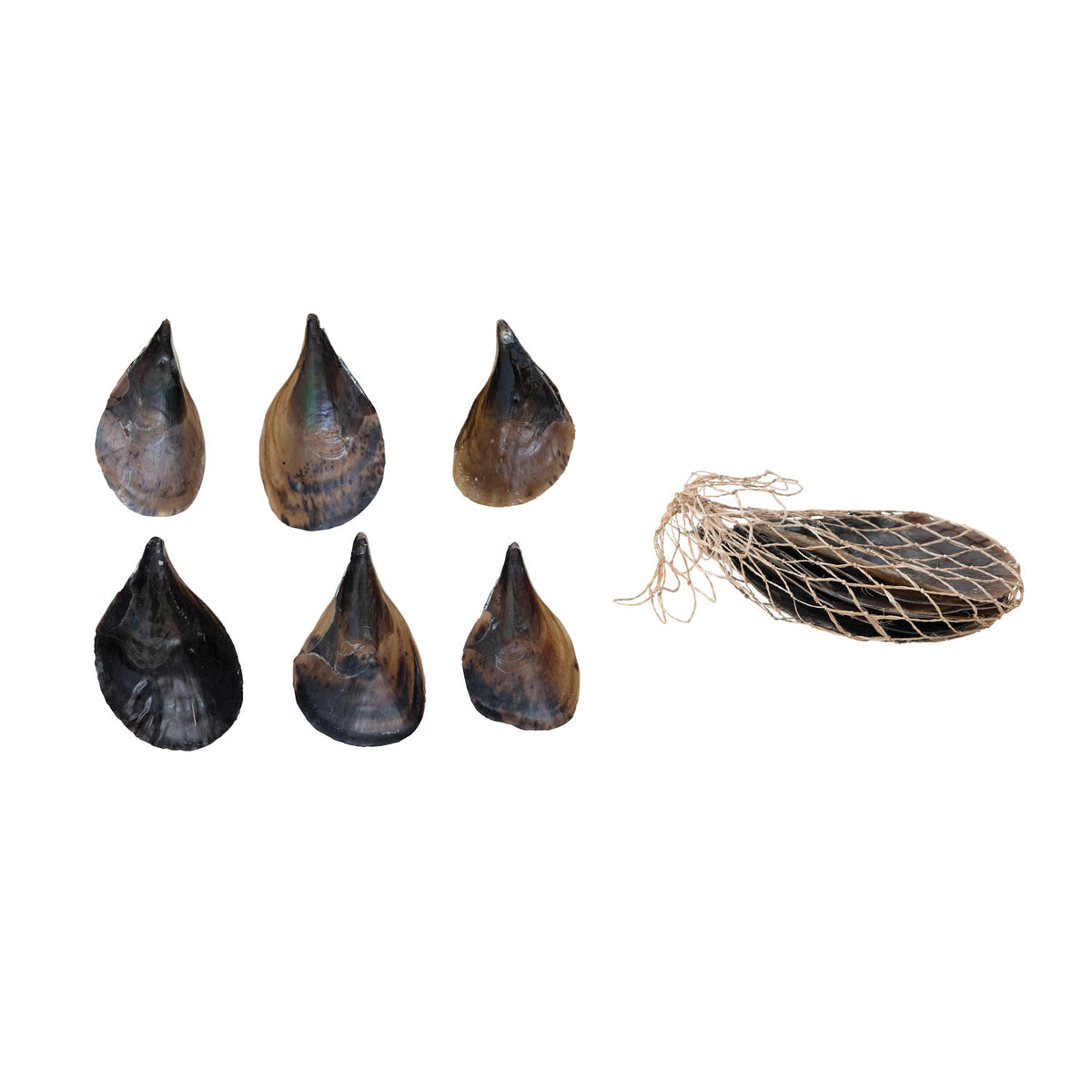 Design Shop Pen Clam Shells in Bag