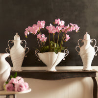 Design Shop Phalaenopsis Orchid Drop-In 23"