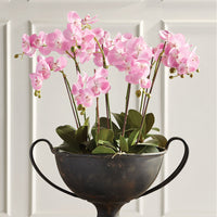 Design Shop Phalaenopsis Orchid Drop-In 30"