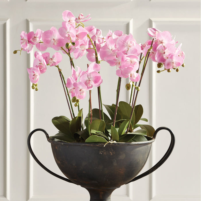 Design Shop Phalaenopsis Orchid Drop-In 30"