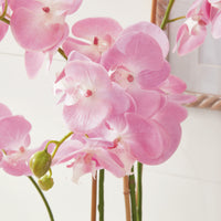 Design Shop Phalaenopsis Orchid Drop-In 30"