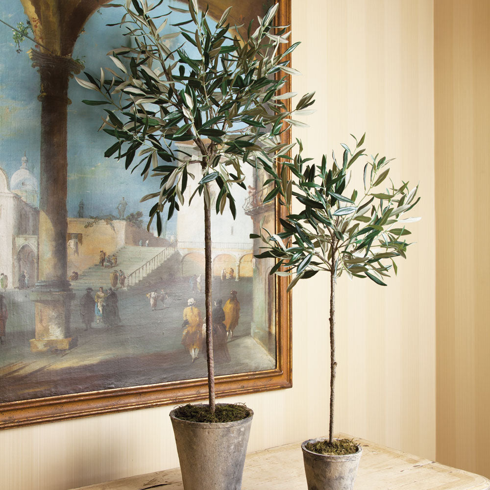 Design Shop Olive Tree Potted 46"