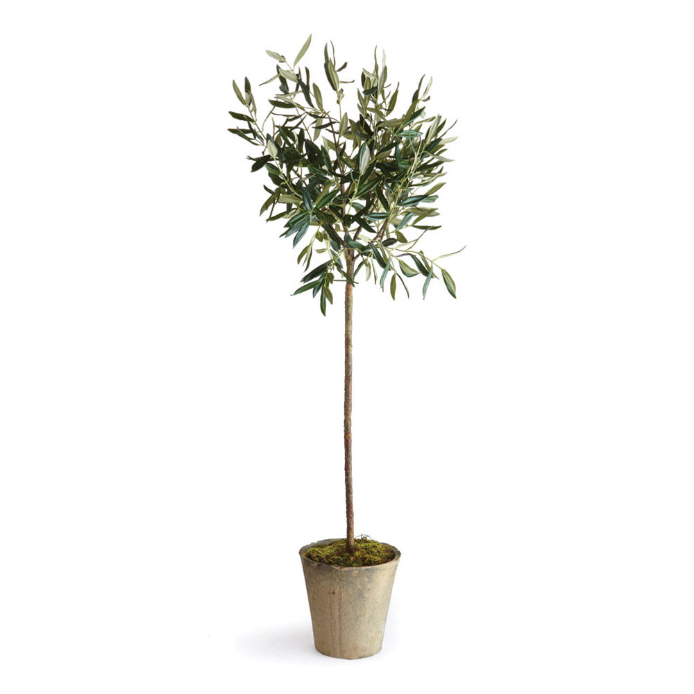 Design Shop Olive Tree Potted 46"