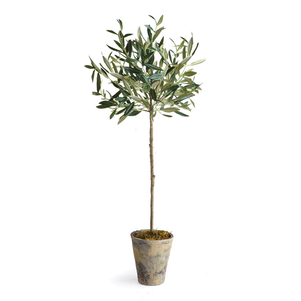 Design Shop Olive Tree Potted 30"