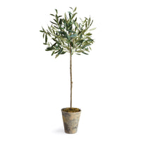 Design Shop Olive Tree Potted 30"