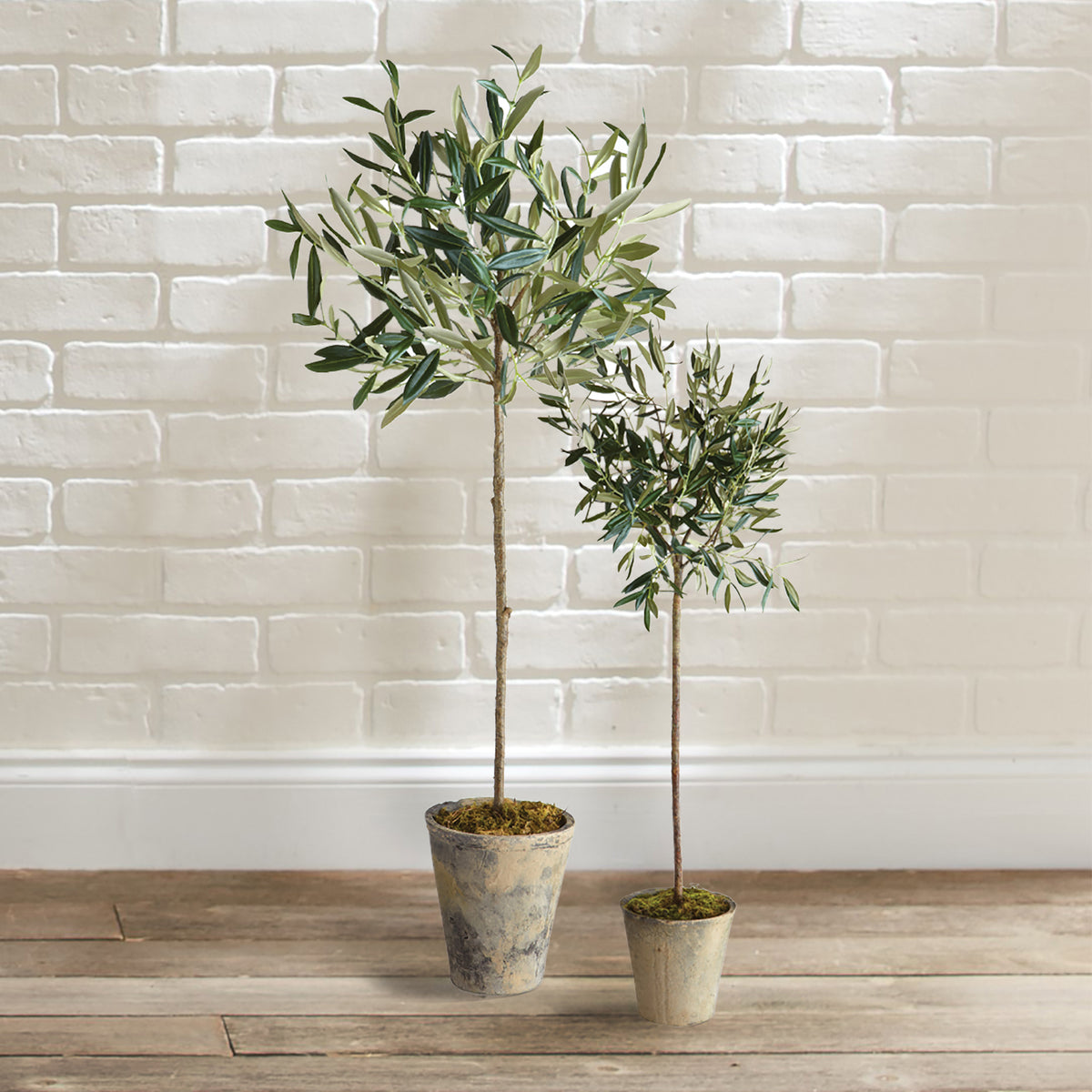 Design Shop Olive Tree Potted 30"