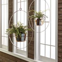 Design Shop Boston Fern Rustic Drop-In 12"