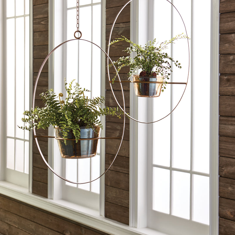 Design Shop Boston Fern Rustic Drop-In 12"
