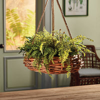 Design Shop Boston Fern Rustic Drop-In 12"