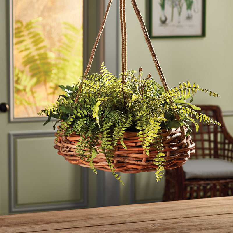 Design Shop Boston Fern Rustic Drop-In 12"