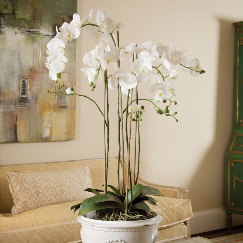 Design Shop Phalaenopsis Orchid Drop-In 44"