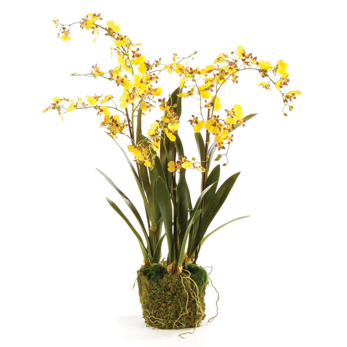 Design Shop Dancing Orchid Drop-In 32"