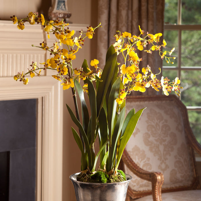 Design Shop Dancing Orchid Drop-In 32"