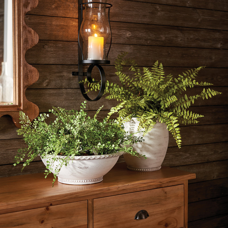 Design Shop Boston Fern Drop-In 12"