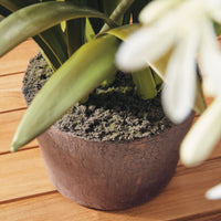 Design Shop Agapanthus Drop-In 29"