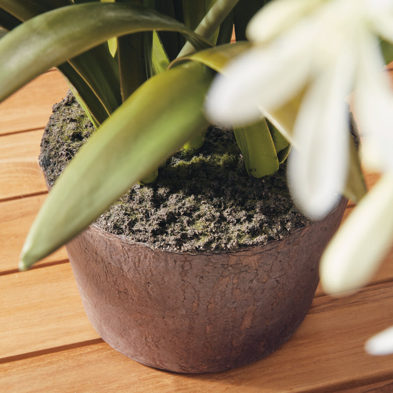 Design Shop Agapanthus Drop-In 29"