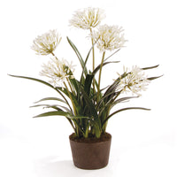 Design Shop Agapanthus Drop-In 29"