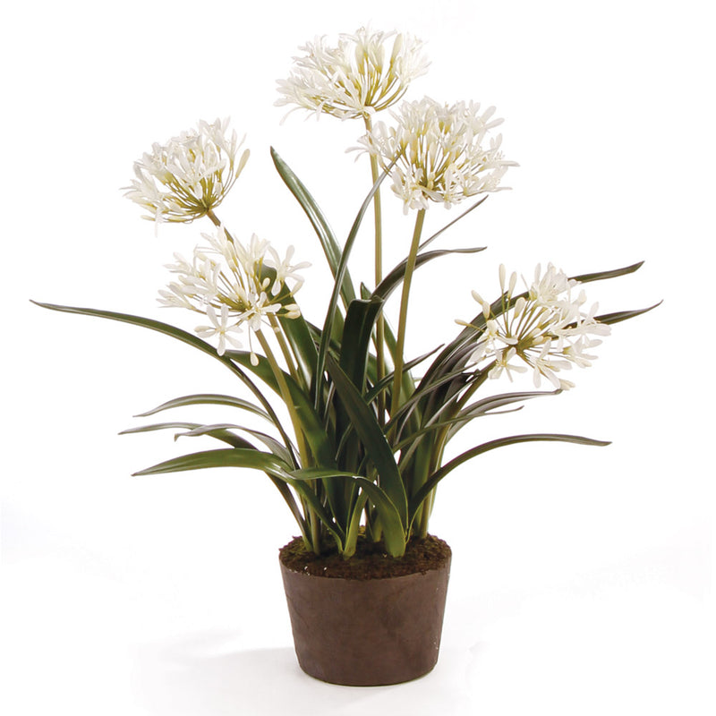 Design Shop Agapanthus Drop-In 29"