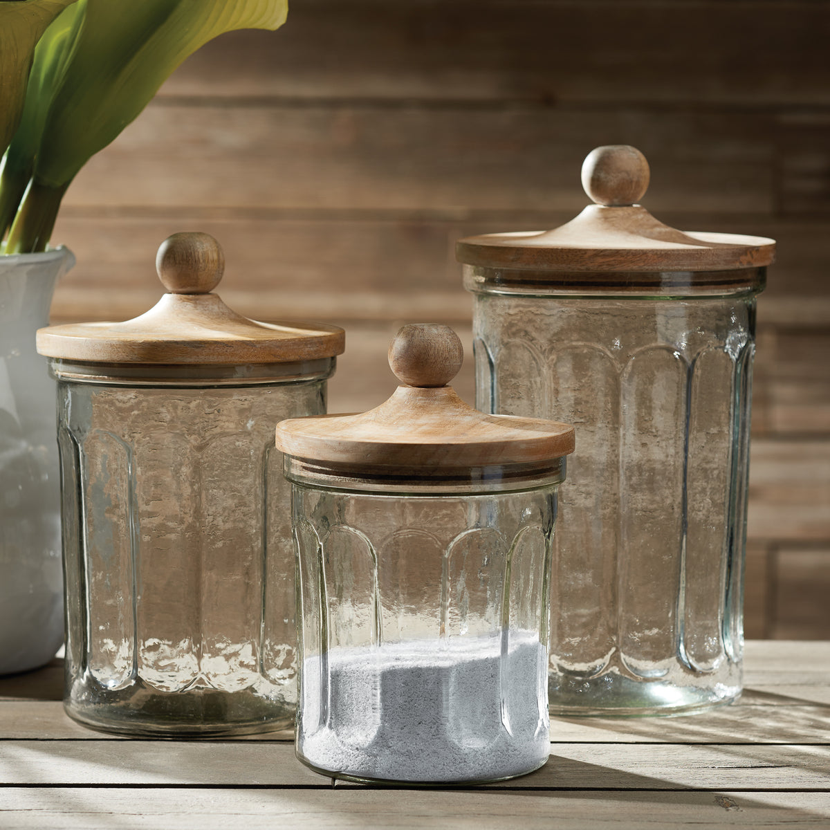 Design Shop Olive Hill Canisters, Set Of 3