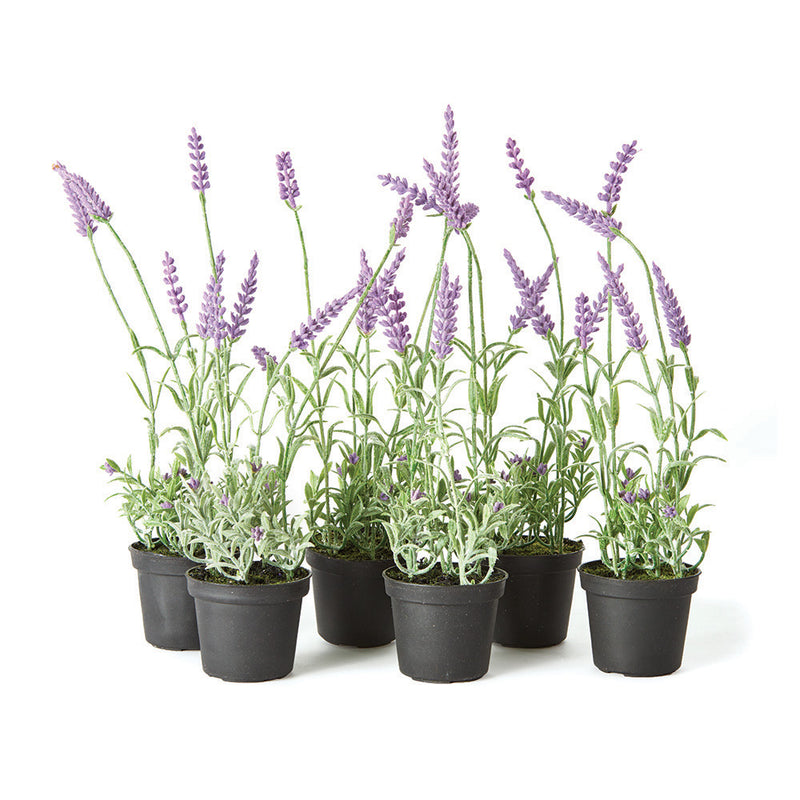 Design Shop French Lavender Drop-In 13", Set Of 6