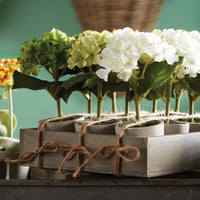 Design Shop Mini Hydrangea Potted 7", Set Of 12