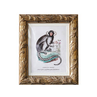 Design Shop Hampshire Matted Tabletop Picture Frame, Antique Gold, 4" x 6"