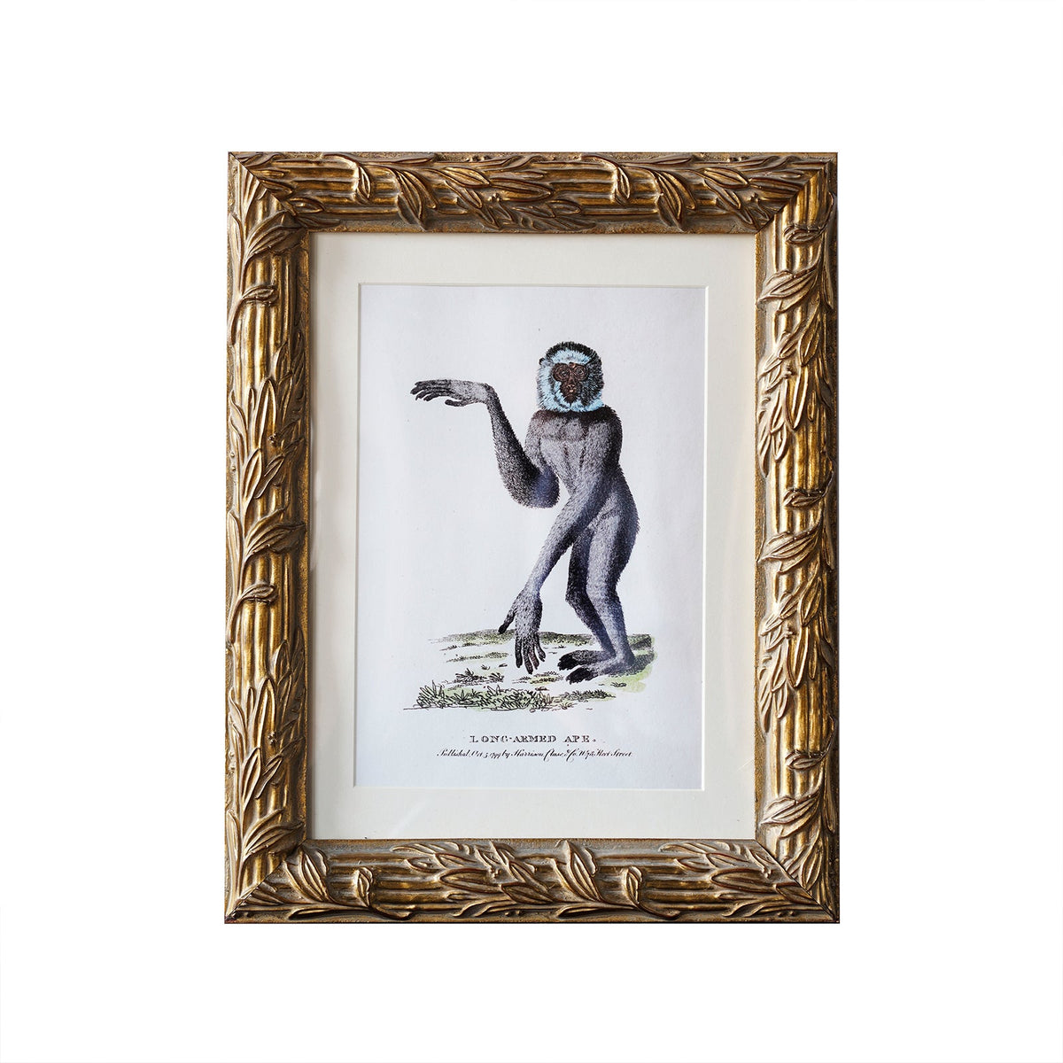 Design Shop Hampshire Matted Tabletop Picture Frame, Antique Gold, 5" x 7"