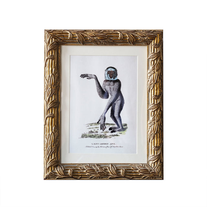 Design Shop Hampshire Matted Tabletop Picture Frame, Antique Gold, 5" x 7"