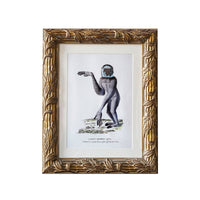 Design Shop Hampshire Matted Tabletop Picture Frame, Antique Gold, 8" x 10"