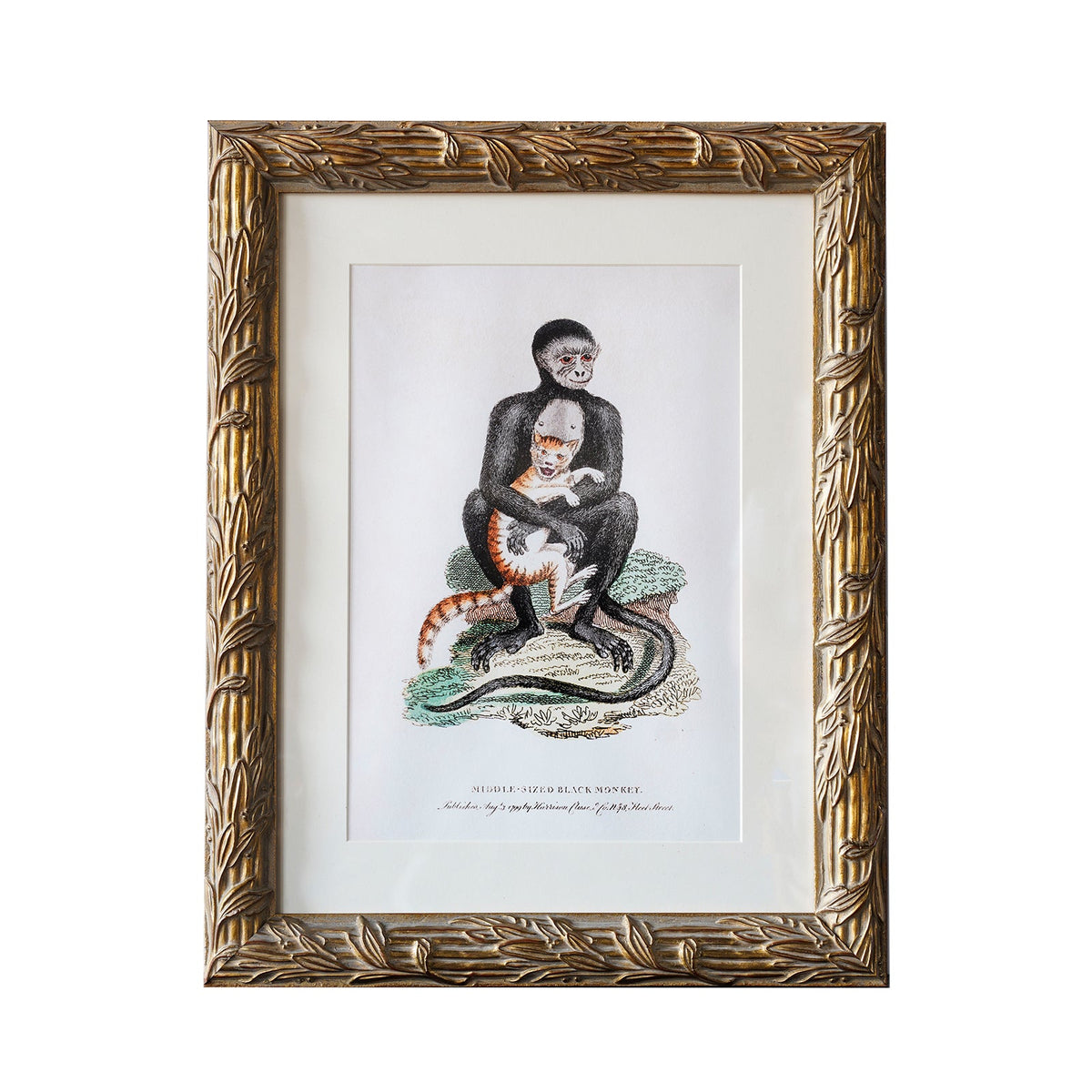 Design Shop Hampshire Matted Tabletop Picture Frame, Antique Gold, 5" x 7"