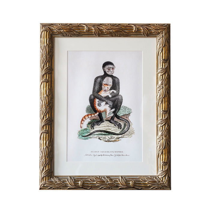Design Shop Hampshire Matted Wall Picture Frame, Antique Gold, 20" x 24"