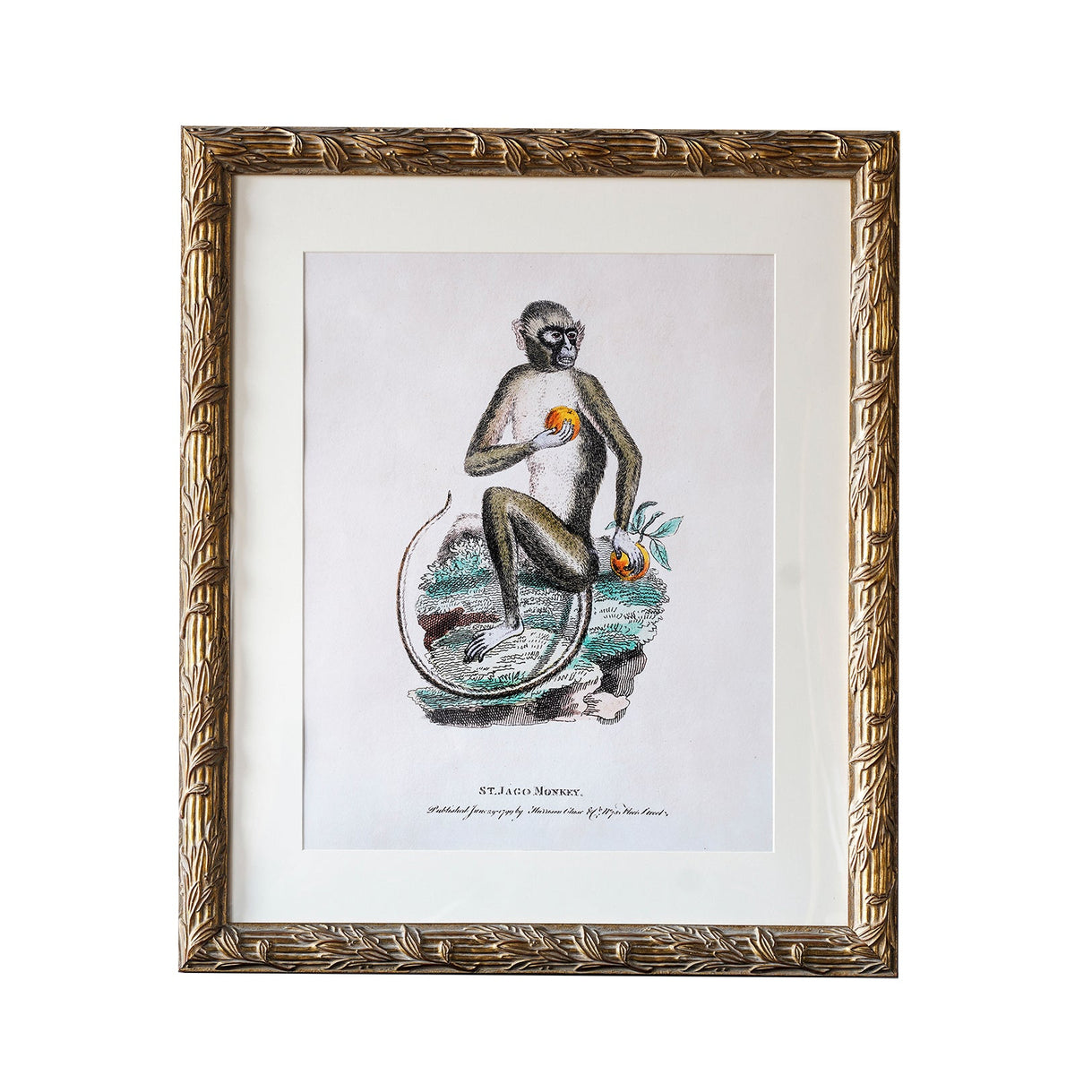 Design Shop Hampshire Matted Tabletop Picture Frame, Antique Gold, 4" x 6"
