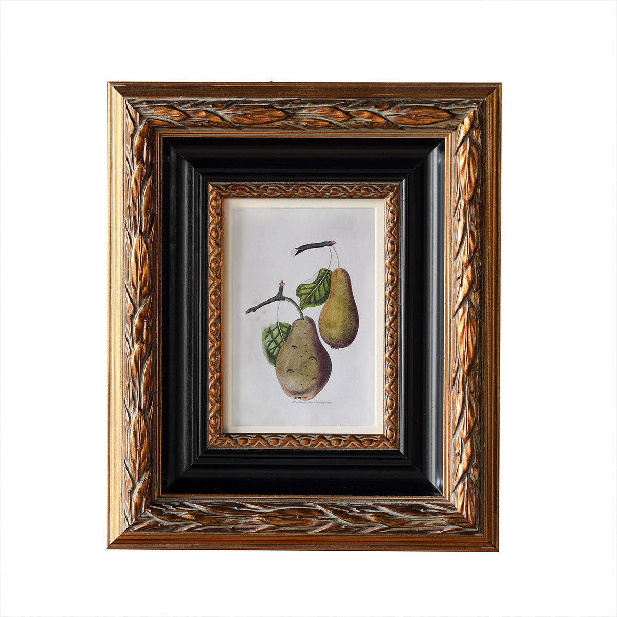 Design Shop Blackburn Matted Tabletop Picture Frame, Antique Gold and Black, 5" x 7"