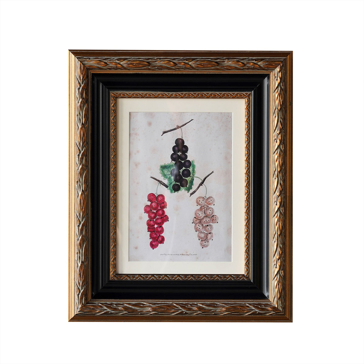 Design Shop Blackburn Matted Tabletop Picture Frame, Antique Gold and Black, 5" x 7"