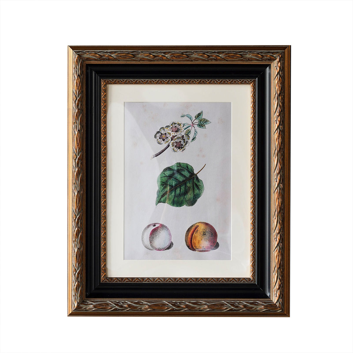 Design Shop Blackburn Matted Wall Picture Frame, Antique Gold and Black, 9" x 12"