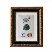 Design Shop Blackburn Matted Wall Picture Frame, Antique Gold and Black, 9" x 12"