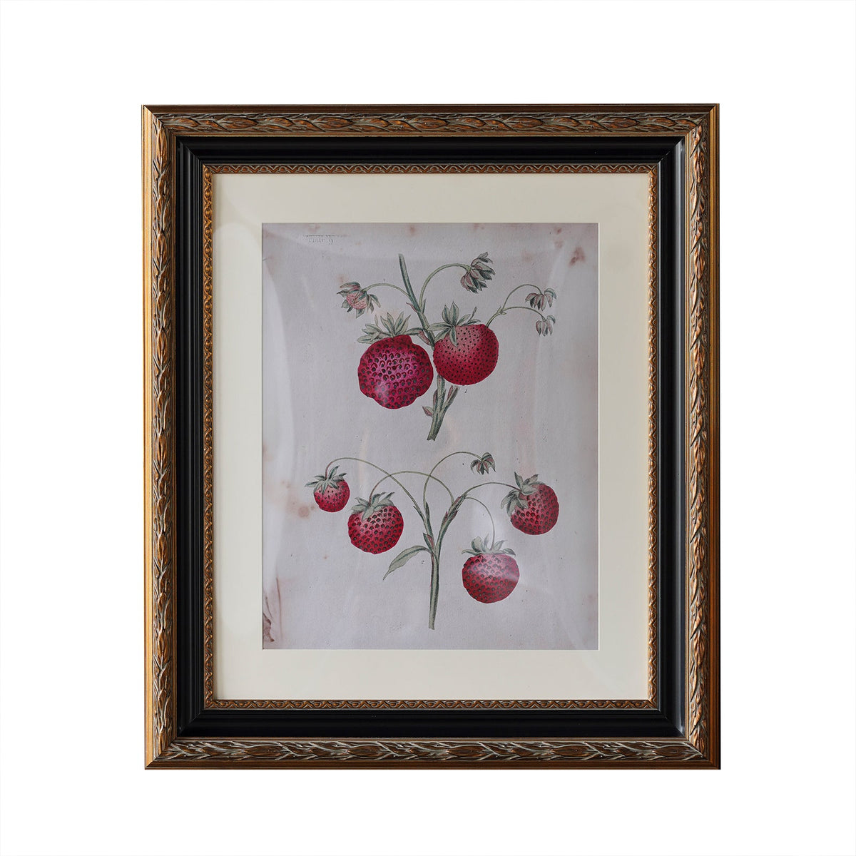 Design Shop Blackburn Matted Tabletop Picture Frame, Antique Gold and Black, 8" x 10"