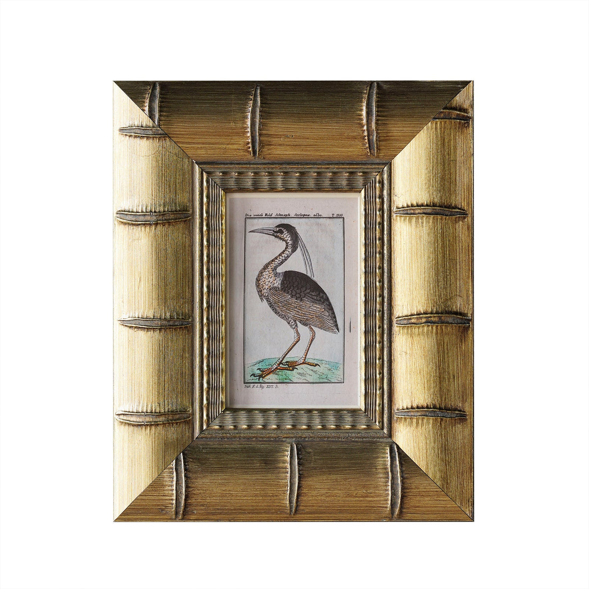 Design Shop Brixham Matted Wall Picture Frame, Gold, 9" x 12"