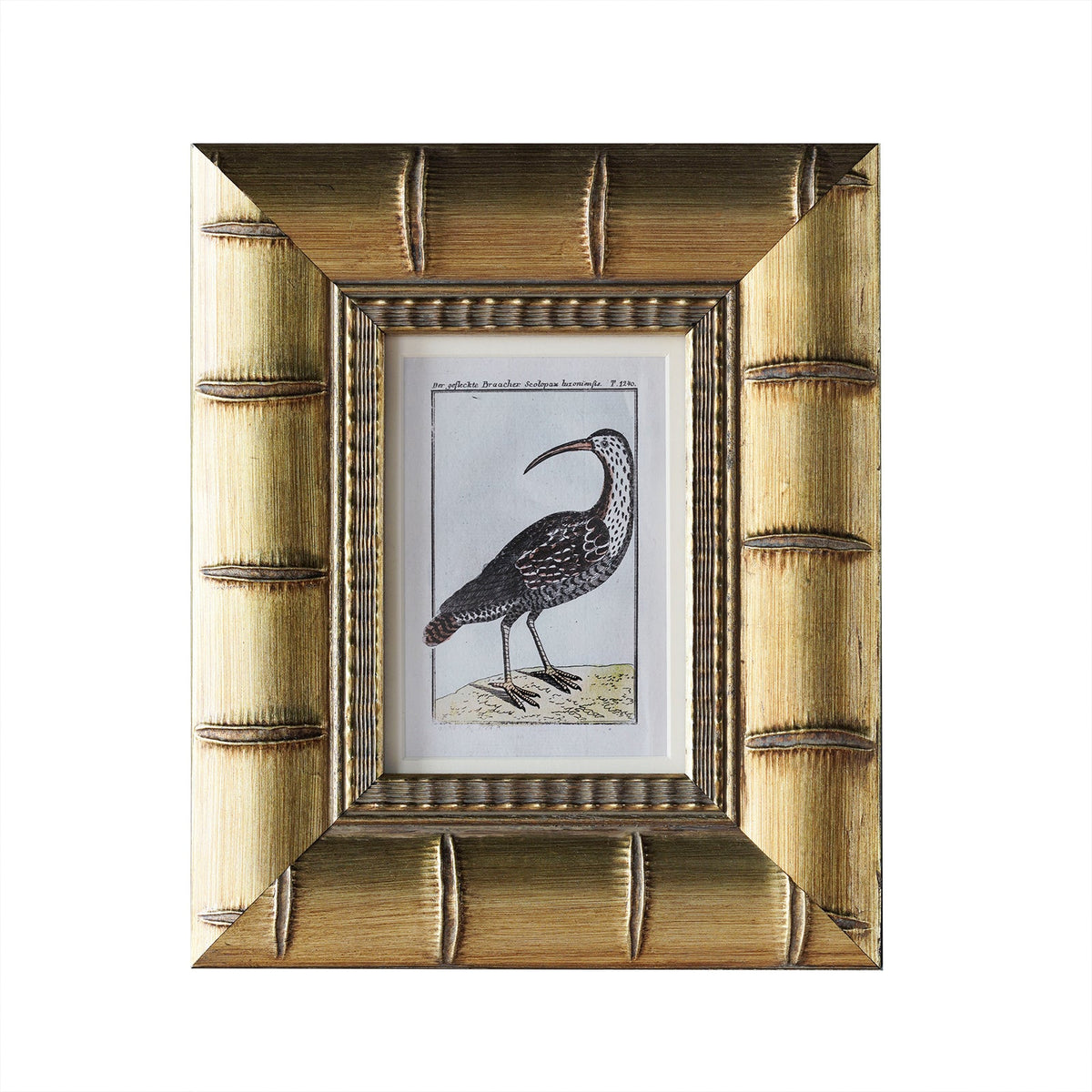Design Shop Brixham Matted Tabletop Picture Frame, Gold, 5" x 7"