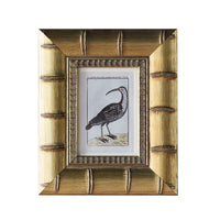 Design Shop Brixham Matted Tabletop Picture Frame, Gold, 5" x 7"