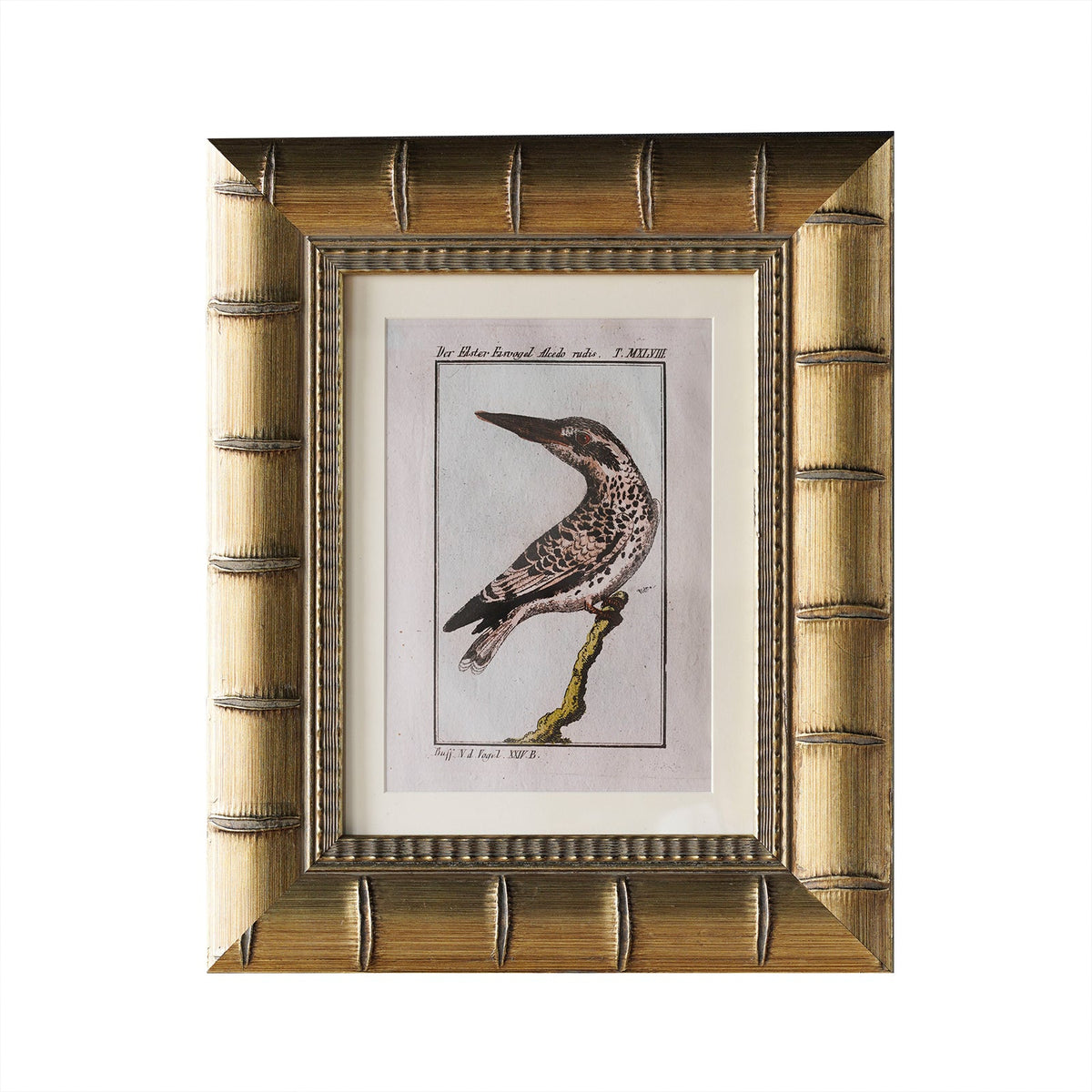 Design Shop Brixham Matted Tabletop Picture Frame, Gold, 8" x 10"
