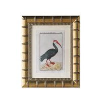 Design Shop Brixham Matted Tabletop Picture Frame, Gold, 4" x 6"