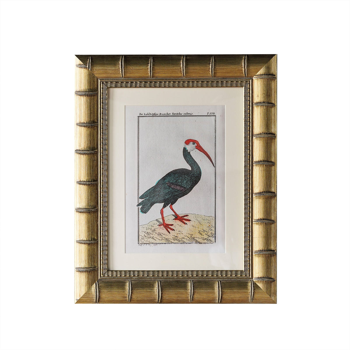 Design Shop Brixham Matted Wall Picture Frame, Gold, 9" x 12"