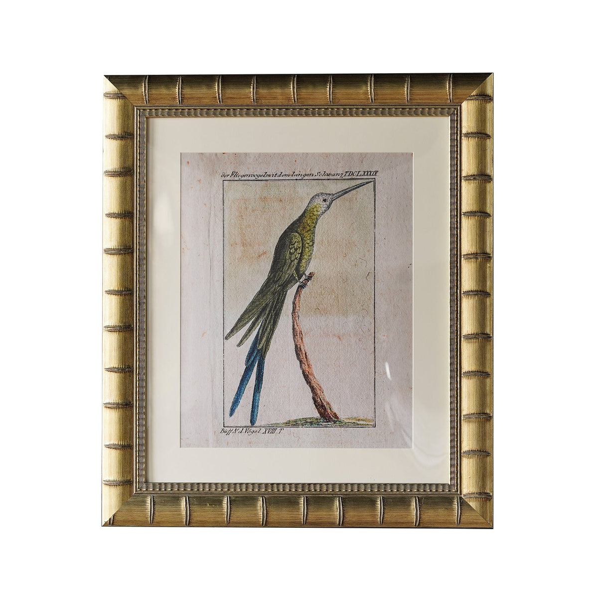Design Shop Brixham Matted Tabletop Picture Frame, Gold, 5" x 7"