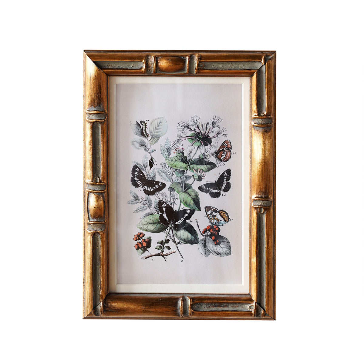 Design Shop Burnley Matted Wall Picture Frame, Antique Gold, 20" x 24"