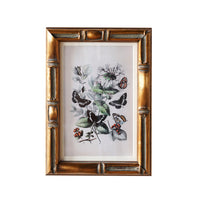 Design Shop Burnley Matted Tabletop Picture Frame, Antique Gold, 5" x 7"