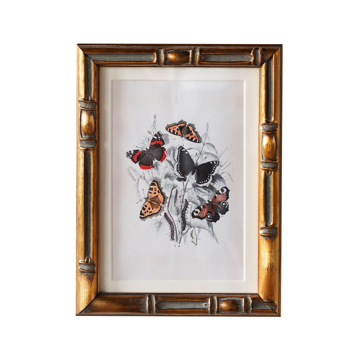 Design Shop Burnley Matted Tabletop Picture Frame, Antique Gold, 5" x 7"