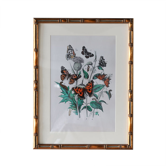 Design Shop Burnley Matted Wall Picture Frame, Antique Gold, 12" x 16"