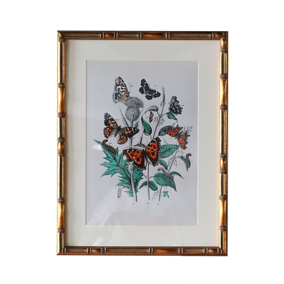 Design Shop Burnley Matted Tabletop Picture Frame, Antique Gold, 5" x 7"