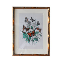 Design Shop Burnley Matted Tabletop Picture Frame, Antique Gold, 4" x 6"